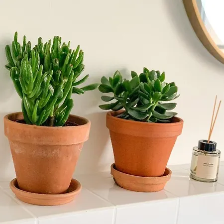 Сasa de vacaciones Zita Ferienhaeuser - Feni Neckargemünd