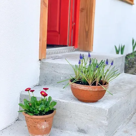 Zita Ferienhaeuser - Feni *